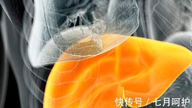 预防肝硬化|肝硬化时,身上可能会有3个红灯亮起,该喝护肝茶了