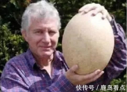 中国人|吉尼斯世界之最:第1项由中国人创造的,为此还做了切除手术