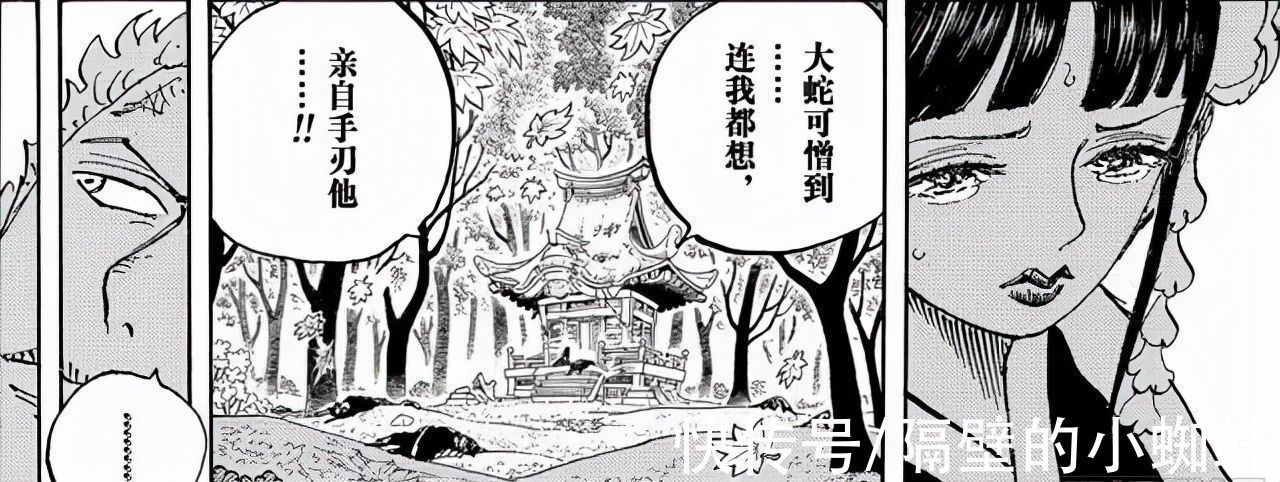 大蛇|海贼王1032话情报分析:某人是日和,她的出现是来终结大蛇的命