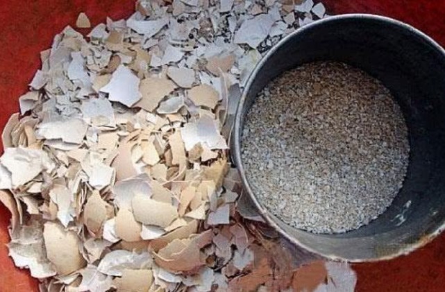 悄悄告诉你,花卉不开花,用点“催花水”,花开满盆,变养花高手