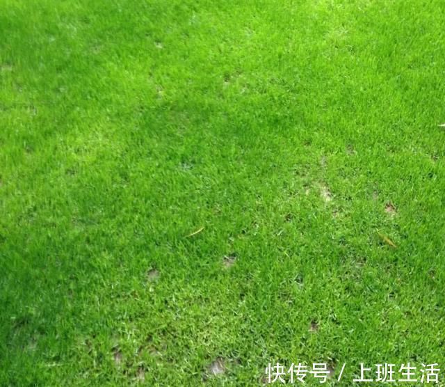 微微一笑!但行好事,莫问前程~经历过四朝十帝的冯道,和他的两首名诗欣赏