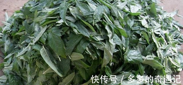 干菜|这个美食大家只知道种子能吃,殊不知叶子更珍贵,如今30元一斤!