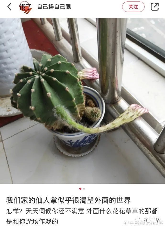 |搞笑趣图:犯错被抓到不仅要处罚,还得拍这种照多尴尬