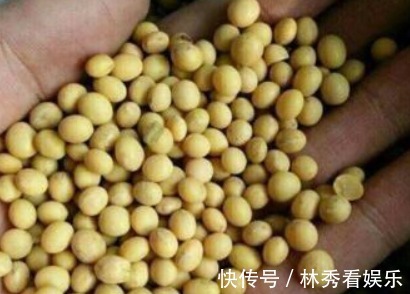 爆盆|栀子花、茶花不会养教你一招,轻松养“爆盆”,看完秒懂