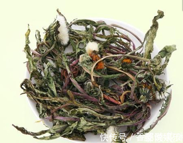 土方子|以前农村人不知道这种野草的作用，现在知道了，都争着采摘！