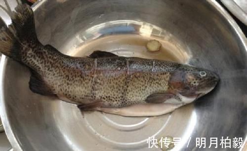 智力|还在让孩子吃巴沙鱼吗家长快停止,这3种鱼对智力和视力更有益