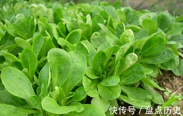 曹大爷|88岁大爷养肝经验：转氨酶几百，不要怕，做好3件事，慢慢降酶