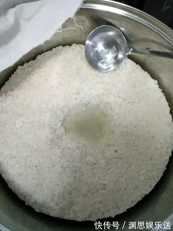 茶花蟹爪兰,喝点酒,喂点糟,晕晕乎乎就疯长,花开满枝头!