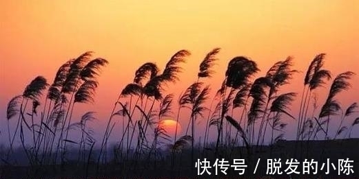 俞紫芝$宋代水平高超的七律,恬静雅丽,技法多样,展现出隐居生活的悠闲