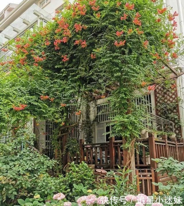 有了30平方的小院,能将日子过成了诗简单而精致,优雅而从容