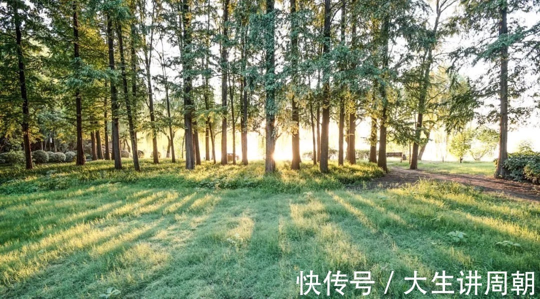 朴实|净慧法师：佛法并不是高深的哲学，而是朴实的做人道理