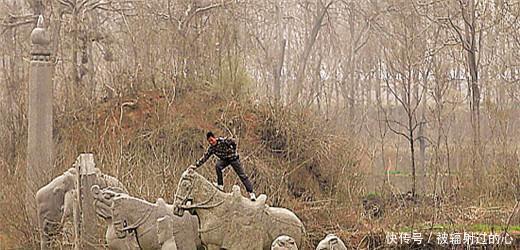 太祖|开国皇帝朝天放箭，落地之处为陵墓，方圆十里鸟绝迹！