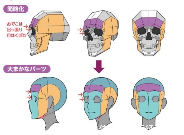 绘画!人体头部轮廓怎么画?教你画出好看头部的诀窍!