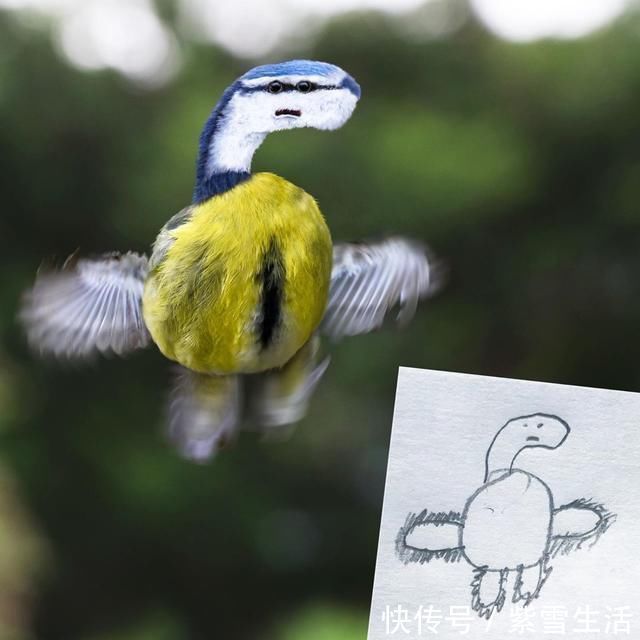 花式秀!儿子画成什么样,爸爸就能P成什么样子,花式秀父爱坐拥百万粉丝