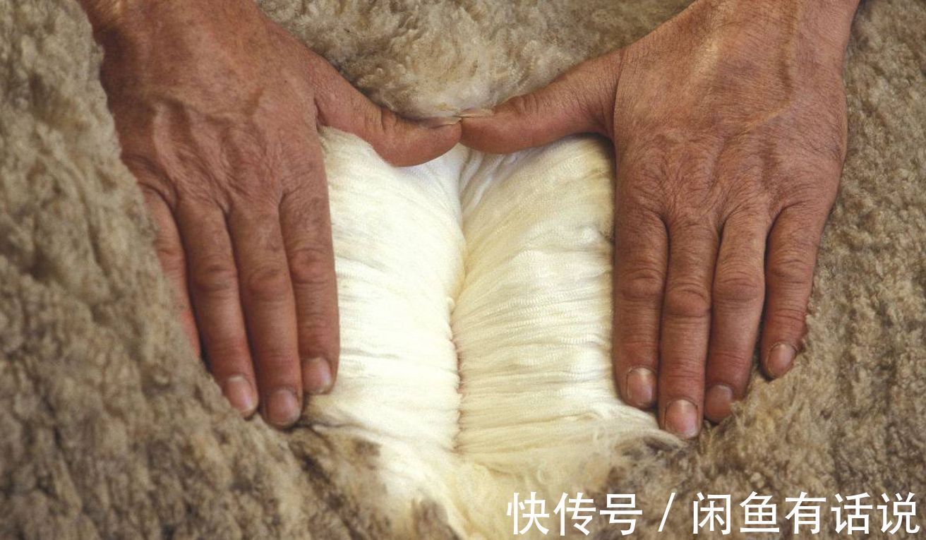 羊毛|怎样才能买到不扎人的羊毛衫?入手时按照这3个标准选就够了