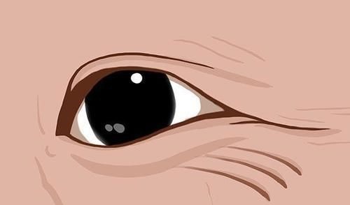 大豆异黄酮|女性过了50岁,体内雌激素慢慢减少,补充雌激素的食物有哪些?