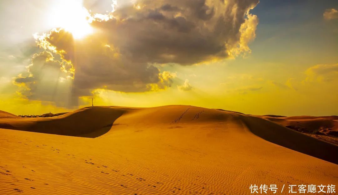 樟子松|这个夏天，我劝你一定要去一次内蒙古 ！