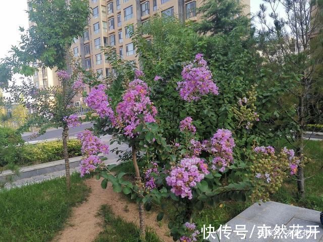 好的故事&故事写作:精彩故事的五个标准