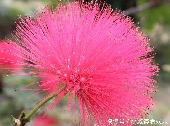 出门|到了11月，4属相好运袭来，财运旺盛，出门见喜，生活幸福美满