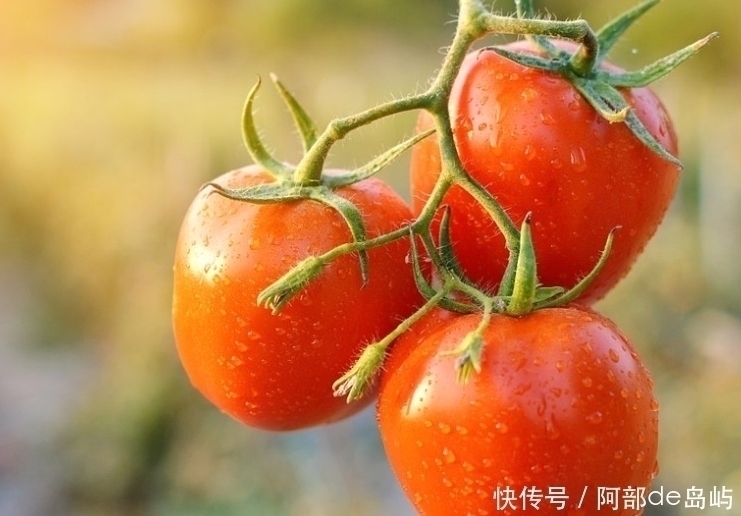 菠菜|西红柿与此物是天生的好搭档,常吃气血足了,皮肤白了,视力好了