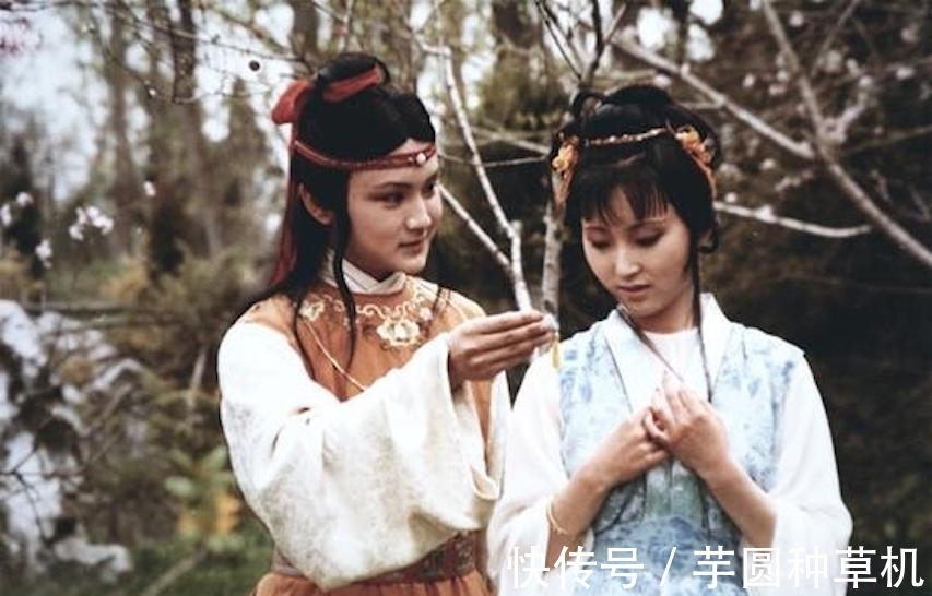 贾母|如果是因这个原因喜欢上黛玉的读者,往往“中毒”已深,无法自拔