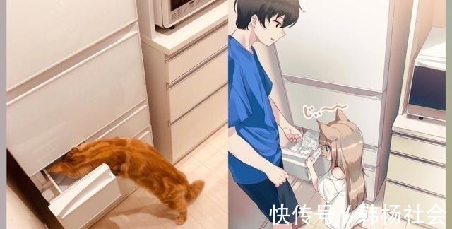 半兽人|想让猫咪变成人变是不可能的，但画师可以将其画出来！