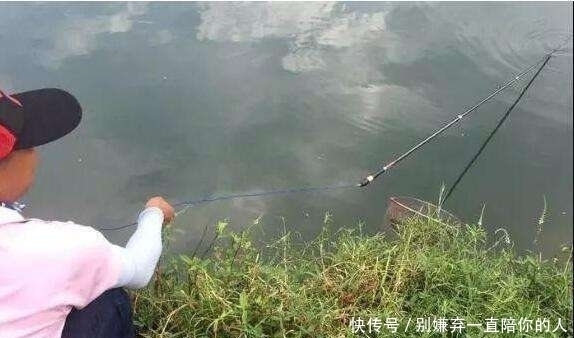力气|失手绳如何遛鱼?这3个技巧缺一不可,学会老钓友都佩服你!