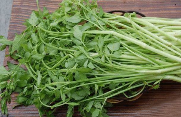 养颜|女性想要身体好常吃3种食物,淡斑养颜,延缓衰老,控制血压血脂