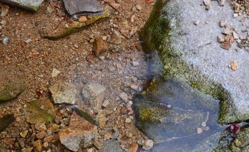 老祖宗常说的“水至清则无鱼”,下半句才精华,教你为人处世之道