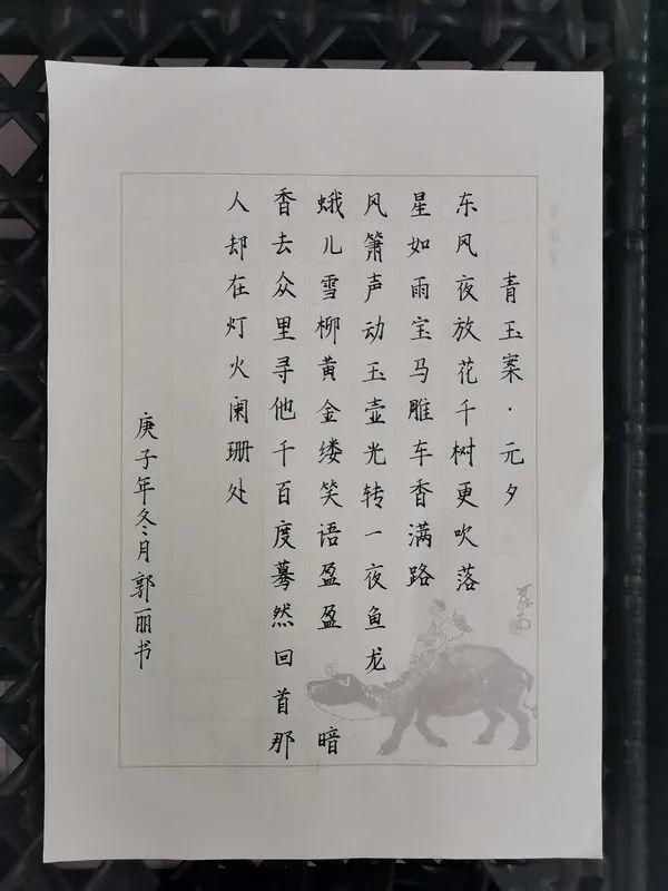 展示|桐子林中心学校93名老师“三笔字”尽展风采