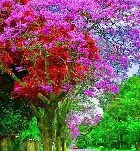 传来|太美了,世界照片今天终于传来,罕见至极,一睹为快