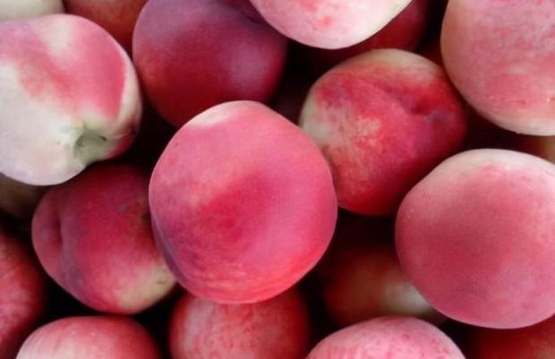 如意果|小寒结束后老人孩子抵抗力都变差,多吃3种如意果,寓意生活如意