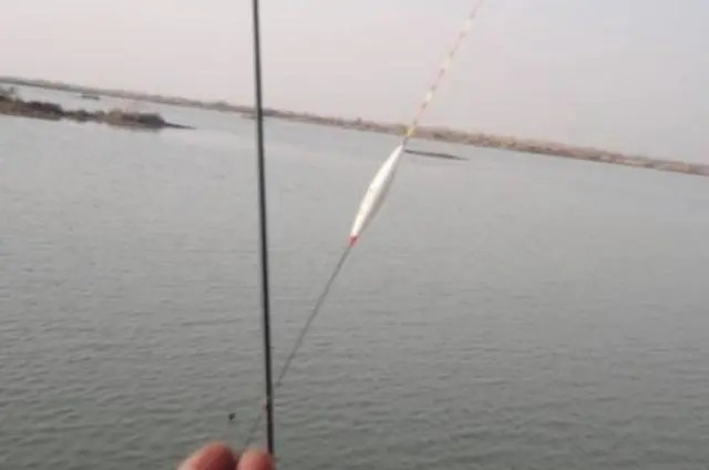 户外野钓这样调漂,钓鱼大师都夸你,上鱼速度不要太快!