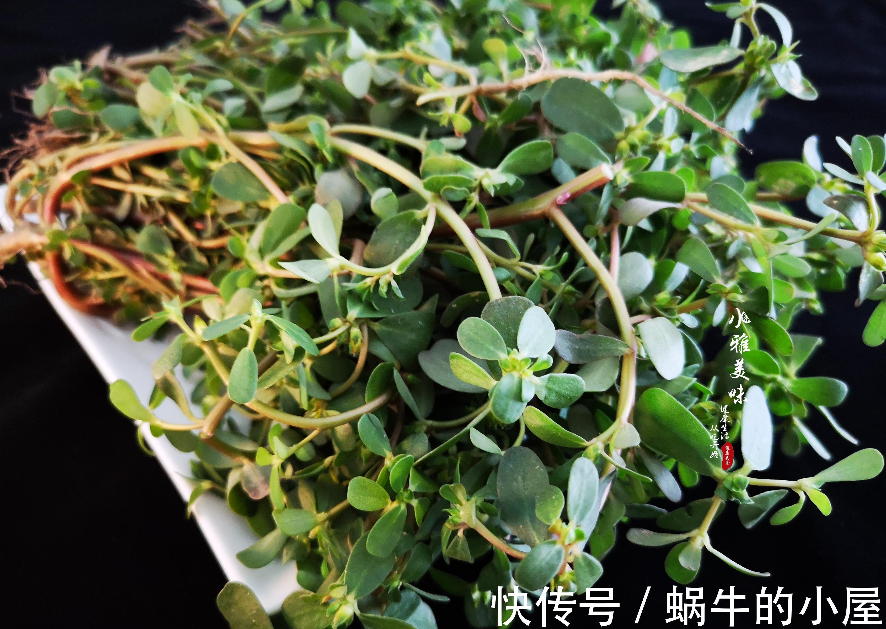 剁辣椒|在欧洲偶遇中国野菜,兴奋之余,当晚演绎了一场经典的中国凉拌菜