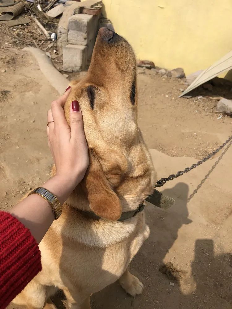 浇水|多肉小白三年励志对比养自己的花,爱自己的宇宙!