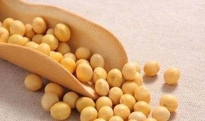 卵巢|女人雌激素偏低,常吃6种食物,助你通乳散结,滋养卵巢显年轻!