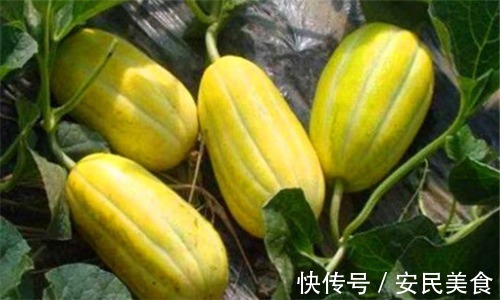 排毒|想要长寿,就要排毒,常吃3种食物,排毒燃脂,清理肠胃