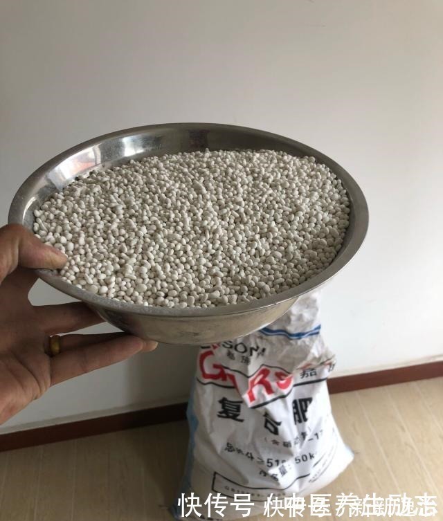 复合肥|养花必备“3种肥”，啥花都能用，每月花盆撒一点，嗖嗖爆盆！