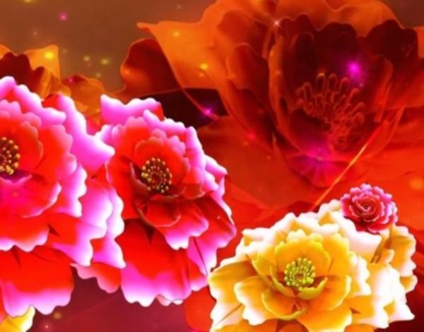 密码应该设什么数字