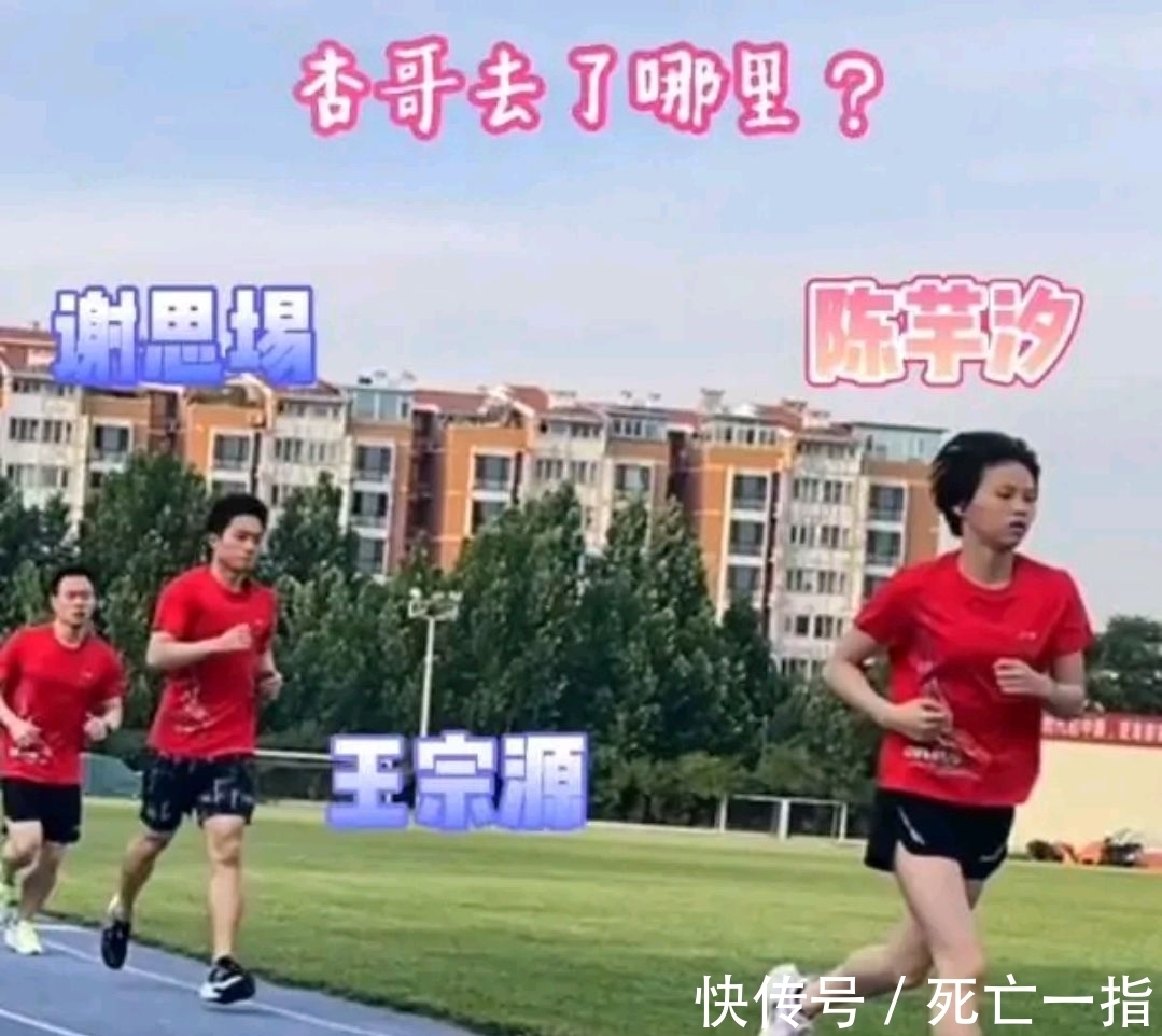 王宗源|风一般的全红婵!红姐晨跑轻松将师兄师姐套圈,陈芋汐追得挺吃力