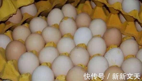 买鸡蛋时,到底该挑红皮还是白皮?饲养员透露:挑错等于白花钱
