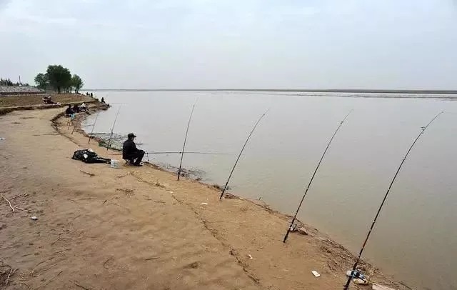 深秋难钓鲫鱼？试试老钓友这一招，专钓大鲫鱼，现在用最合适