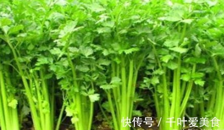 菠菜|爱美女性要多吃4种食物,润肤养颜、排毒消脂,预防子宫早衰