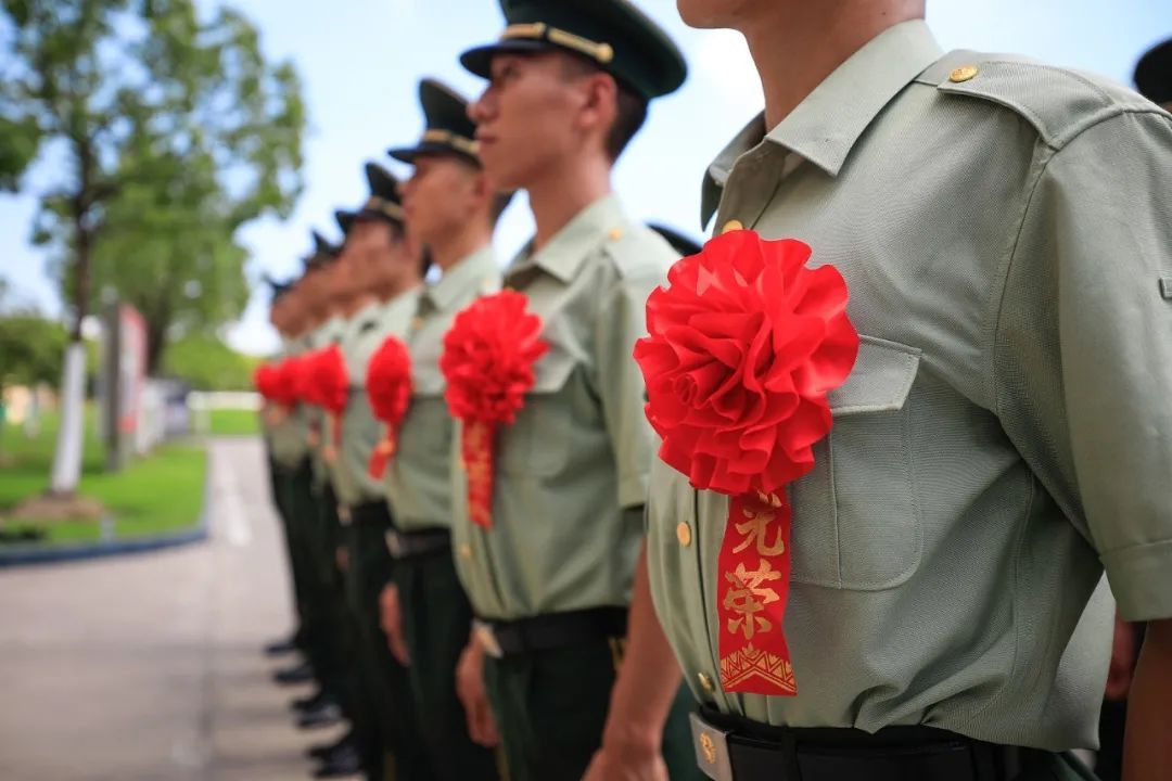 招生|今起报名！今年浙江省退役大学生士兵可免试专升本丨退役军人逐月领取退役金，细则来了