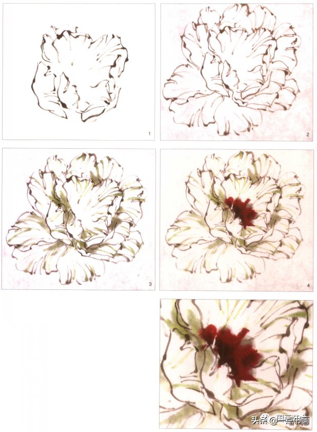 汁绿&图文教程——教你画小写意牡丹