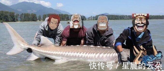 路飞|凯多吃了鱼鱼果实,虚伪的凯多也能下水,凯多和大妈故事有点多