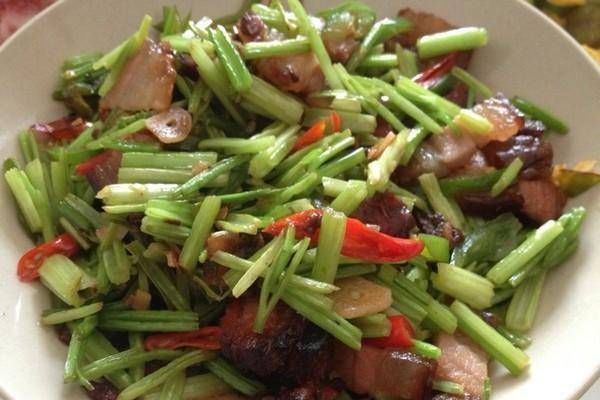 推荐|美食推荐腊肉炒芹菜、蒜泥红油拌肚丝、嗜嗜滑鸡煲