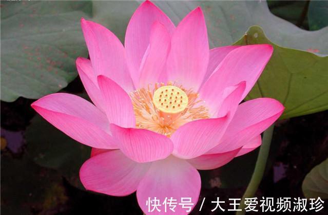 精粹|《商君书》中的十句精粹，深刻透彻，现实有道理！