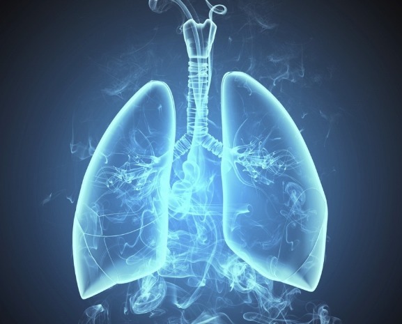 胖大海|“肺”好不好，一个动作就能知晓，如果能做到，说明保养得还不错