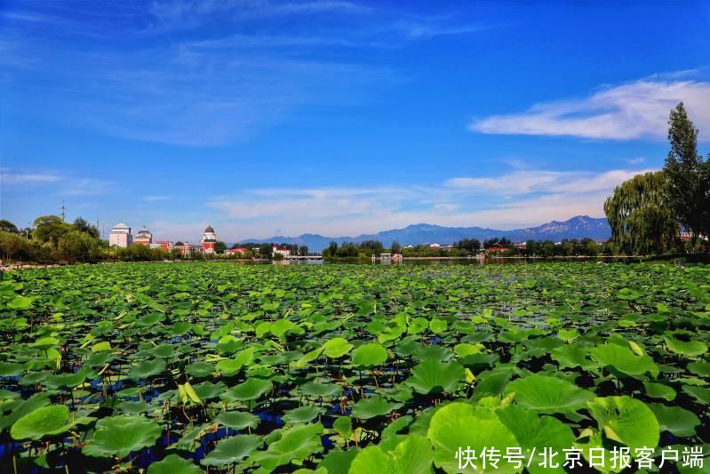 蓝绿交织、清新明亮！大美延庆画卷|美图 | 画卷